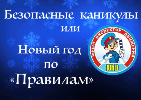 Новый год по правилам Новый год по правилам.